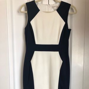 Coldwater Creek Navy and Off-White Panel Dress